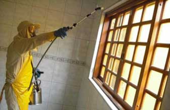 Desentupidora e Dedetizadora Trianon - Foto 1