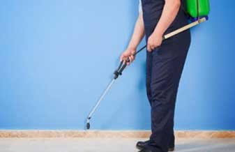 Fort Tec Desentupidora e Dedetizadora - Foto 1