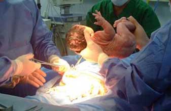 Ceni Machado Matos - Foto 1