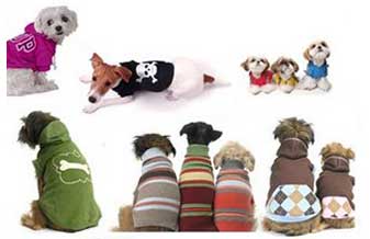 Pet Shop Xodó - Foto 1