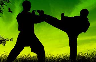 Lira Tae Kwon Do Clube - Foto 1