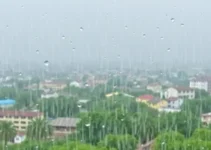 Diadema chuva localizada