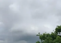 dia nublado em Diadema com tempestades localizadas