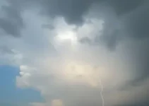 Diadema tempo
