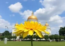 Diadema tempo agradável