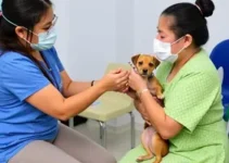Vacimóvel de Diadema