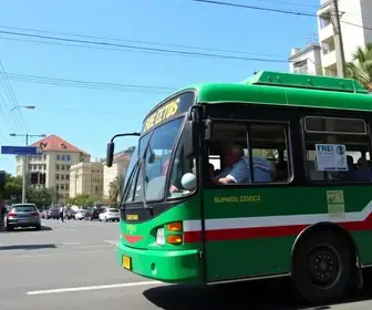 ônibus gratuitos Diadema eleições 2026